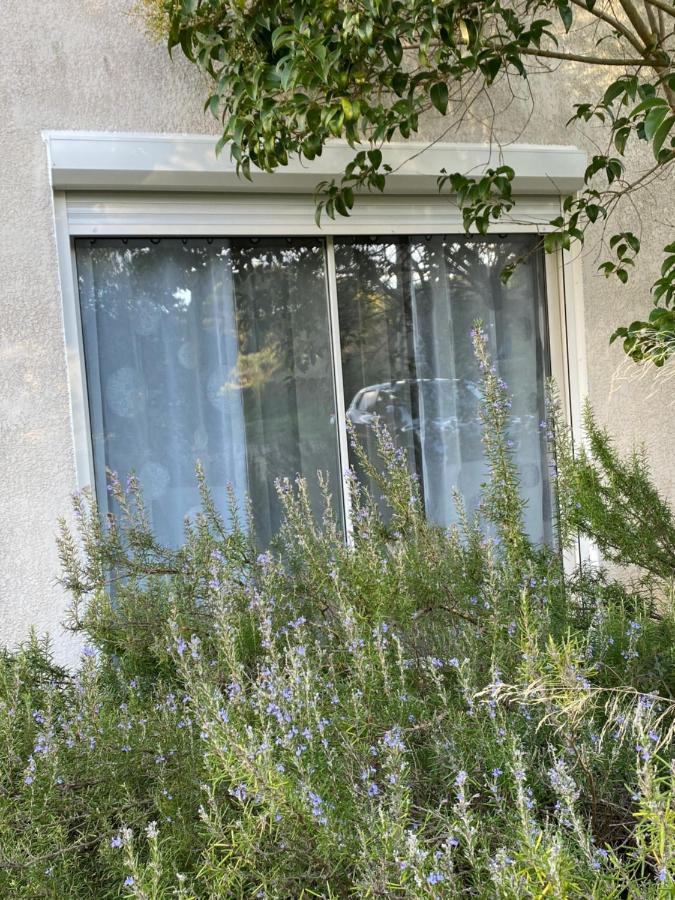 Mas Des Tournevents Acomodação com café da manhã Lézignan-Corbières Exterior foto