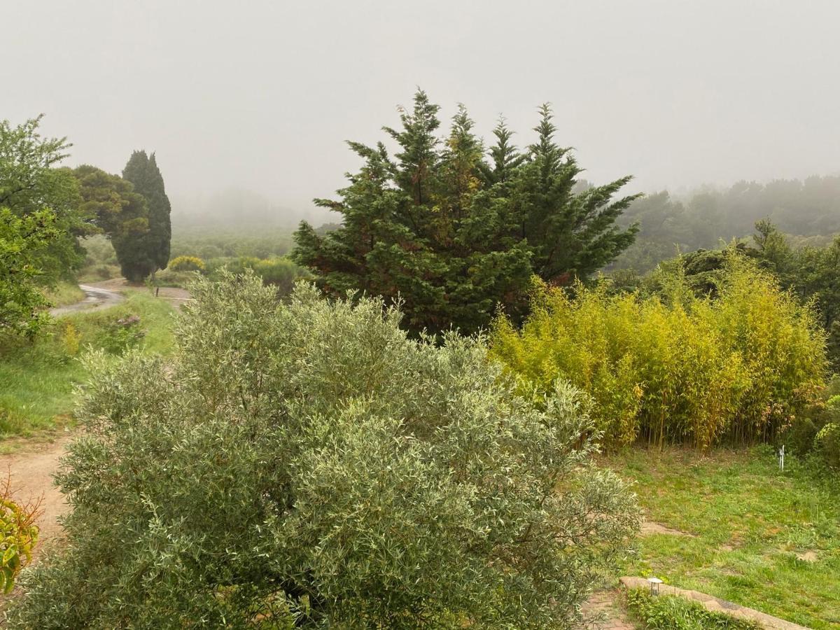 Mas Des Tournevents Acomodação com café da manhã Lézignan-Corbières Exterior foto